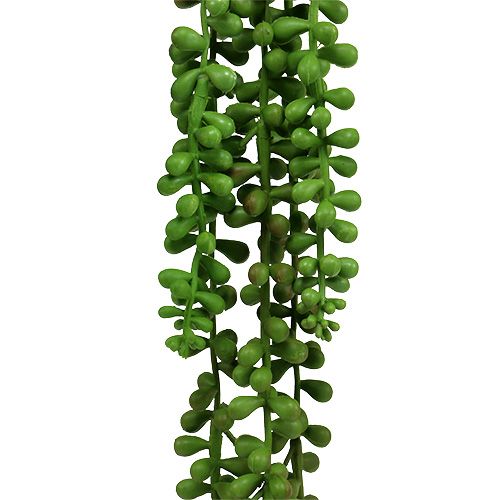 daiktų Senecio kabykla 75cm žalia