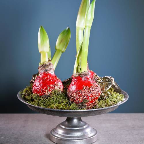 Floristik24 Serviravimo lėkštė ant pagrindo sidabrinė senovinė Ø31cm H14cm