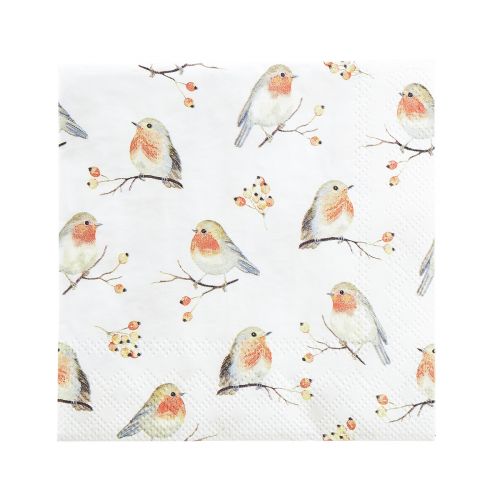 Floristik24 Servetėlės Autumn Robin Rose Hips 25x25cm 20 vnt
