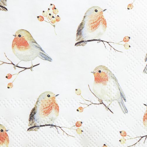 Floristik24 Servetėlės Autumn Robin Rose Hips 25x25cm 20 vnt