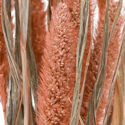 daiktų Setaria šerių soros sausa dekoracija lašiša 69cm 70-75g x 2vnt