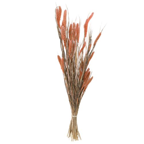 daiktų Setaria šerių soros sausa dekoracija lašiša 69cm 70-75g x 2vnt