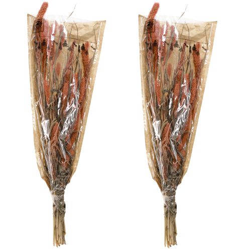 daiktų Setaria šerių soros sausa dekoracija lašiša 69cm 70-75g x 2vnt