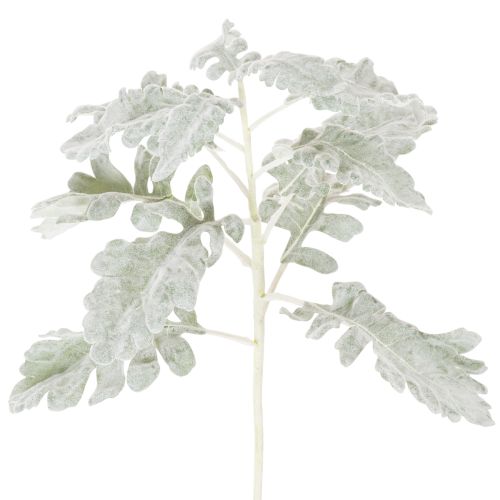 Dirbtinė Senecio šakelė, sidabro lapas, įmantriai pagaminta, 45 cm, 3 dalys pirkti | Floristik24.lt