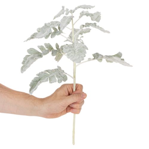Dirbtinė Senecio šakelė, sidabro lapas, įmantriai pagaminta, 45 cm, 3 dalys | Floristik24.lt