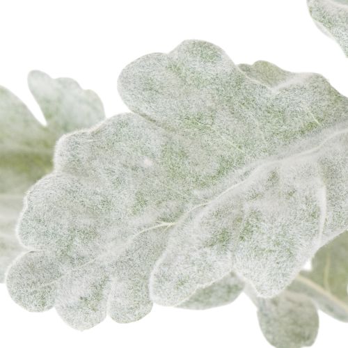 Dirbtinė Senecio šakelė, sidabro lapas, įmantriai pagaminta, 45 cm, 3 dalys | Floristik24.lt