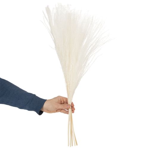 daiktų Džiovintos gėlės, sidabrinė žolė. Elegantiška natūrali puošmena namams ir biurui. 70 cm, 10 vnt.