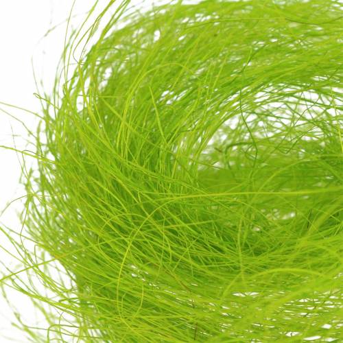 Sizalio pavasario žalia dekoratyvinė žolė 300g