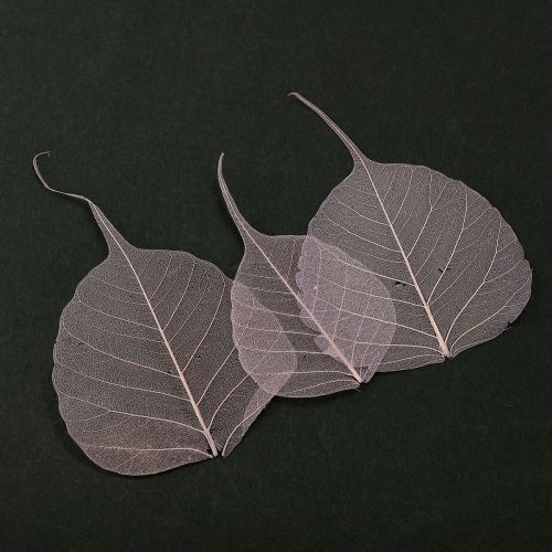 Floristik24 Skeletiniai lapai Bodhi lapai skeletuoti violetiniai 5-15cm 200 vnt.
