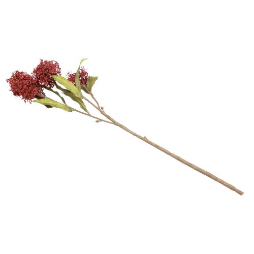 daiktų Skimmie Skimmia Japonica Dirbtinės gėlės Burgundy DryLook L59cm