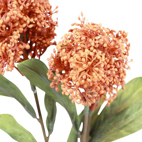 daiktų Skimmie Skimmia Japonica Dirbtinės gėlės Orange DryLook L59cm