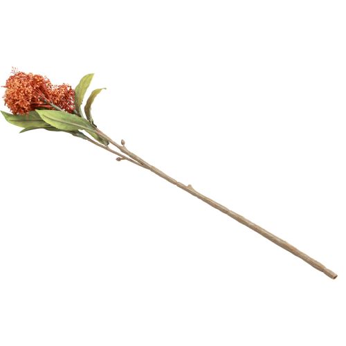 daiktų Skimmie Skimmia Japonica Dirbtinės gėlės Orange DryLook L59cm