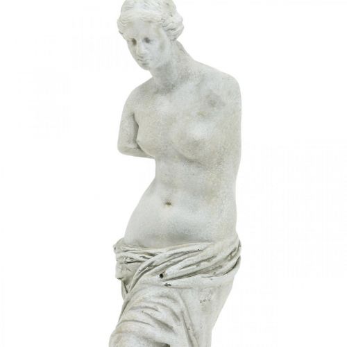 Floristik24 Veneros statulos dekoratyvinė skulptūra H29cm pilkai rudos spalvos dekoratyvinės figūros sodas