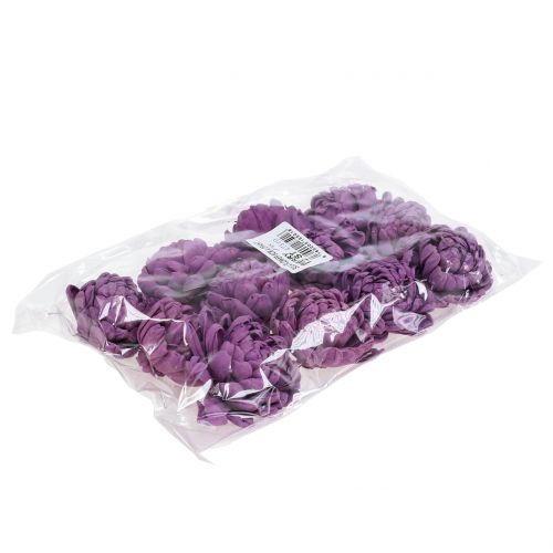 Floristik24 Gėlės ant vielos tamsiai violetinės spalvos 8cm 12 vnt