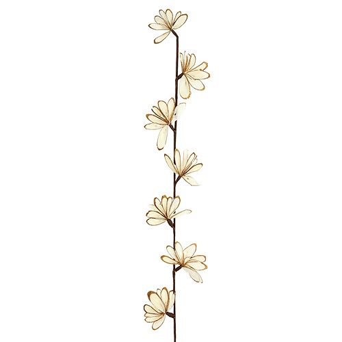 Floristik24 Sola Chips Sunny Stick Brown, Balta 6 vnt.