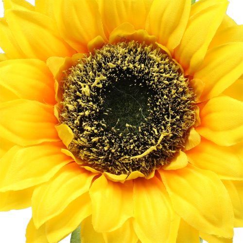 Floristik24 Dirbtinė saulėgrąža dekoravimui Ø15cm