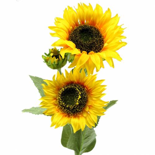 Floristik24 Saulėgrąžų šilkinė gėlė 66cm