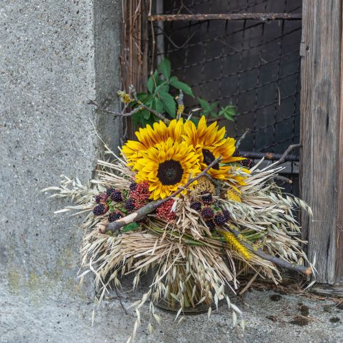 Floristik24 Saulėgrąžų krūmas 40cm