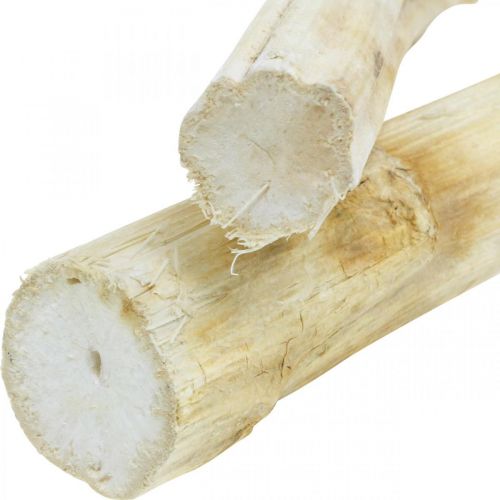 daiktų Saulėgrąžos stiebas 20cm baltas 12 vnt