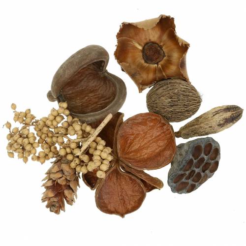 Floristik24 Egzotiškas asortimentas su strobus spurgais gamta 300g