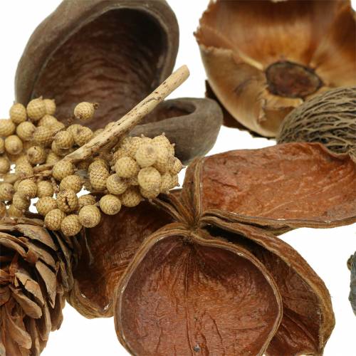 Floristik24 Egzotiškas asortimentas su strobus spurgais gamta 300g