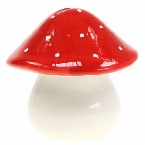 daiktų Toadstool piniginė Ø13,5cm H13cm
