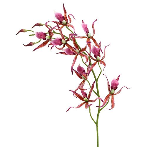 Floristik24 Orchidėjos voras rožinė-oranžinė 108cm 3vnt