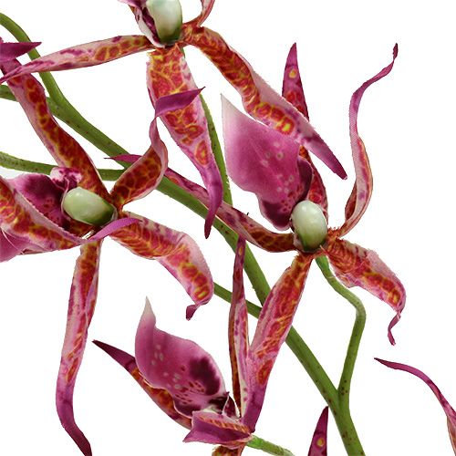 Floristik24 Orchidėjos voras rožinė-oranžinė 108cm 3vnt
