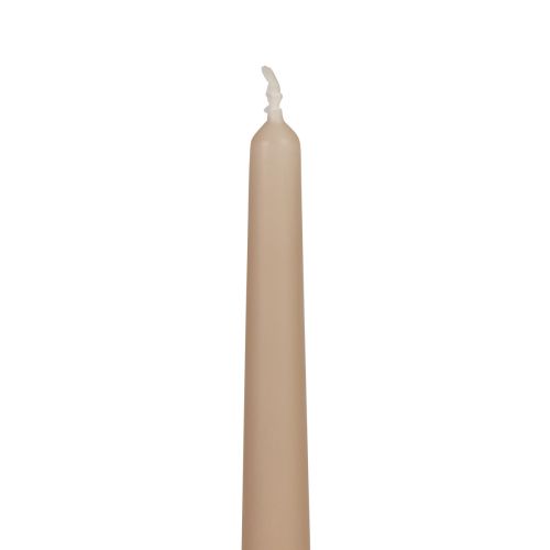 Floristik24 Kūginės žvakės Wenzel žvakės smėlio spalvos 250/23mm 12 vnt