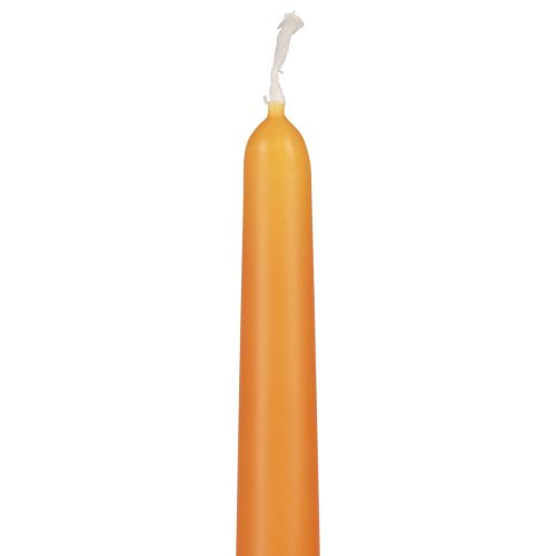 daiktų Kūginės žvakės Wenzel žvakės oranžinės 250/23mm 12 vnt