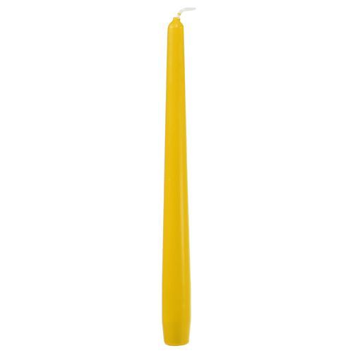 Floristik24 Kūginės žvakės 250/23 geltonos 12vnt