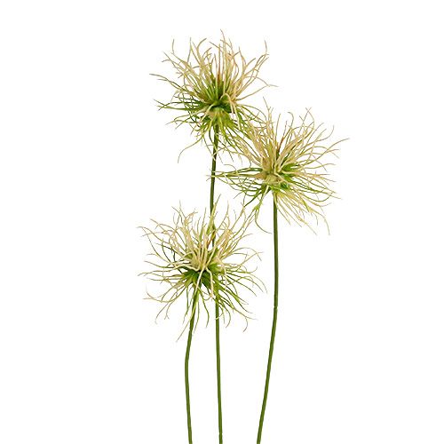 Floristik24 Smailios varnalėšos šakelės kreminės žalios 63cm 4vnt