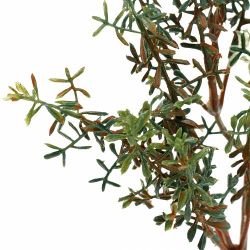 Floristik24 Čiobrelių rinkinys dirbtinis žalias 26cm 6vnt