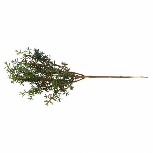Floristik24 Čiobrelių rinkinys dirbtinis žalias 26cm 6vnt