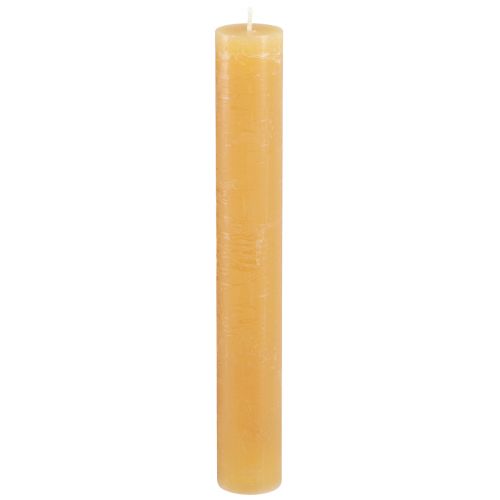 Floristik24 Kūginės žvakės vienspalvės medaus žvakės 34x240mm 4 vnt