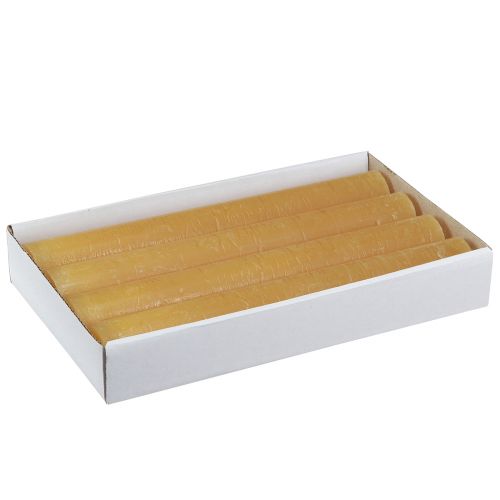 Floristik24 Kūginės žvakės vienspalvės medaus žvakės 34x240mm 4 vnt