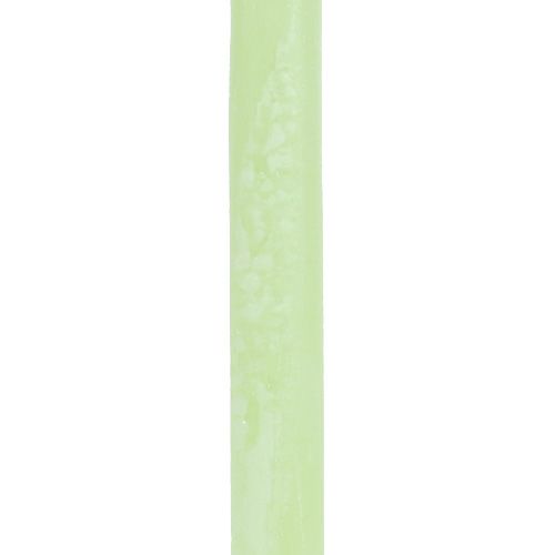 daiktų Kūginės žvakės vienspalviai žalios spalvos​​​​​​​ 21×240mm 12 vnt