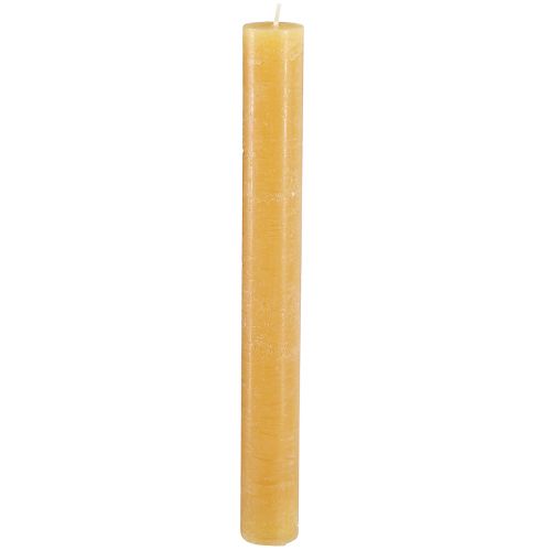 Floristik24 Kūginės žvakės vienspalvės medaus 34x300mm 4 vnt