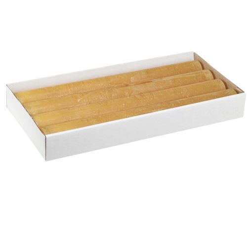 Floristik24 Kūginės žvakės vienspalvės medaus 34x300mm 4 vnt