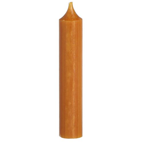 Floristik24 Stick žvakės trumpos vaško žvakės karamelės spalvos 21x110mm 6 vnt