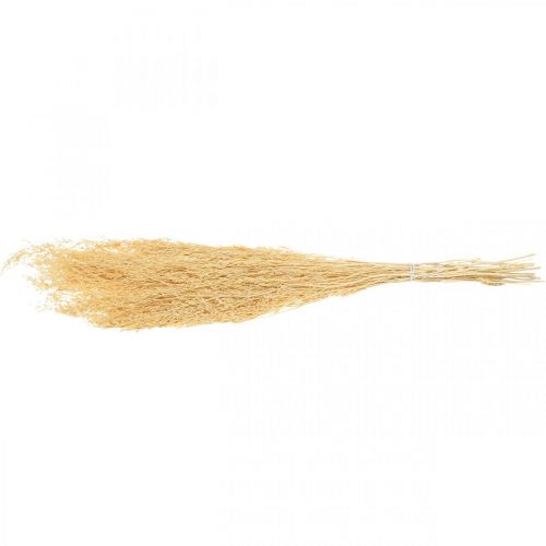Floristik24 Džiovintos jūros levandų kremas Statice Dry Deco 100g