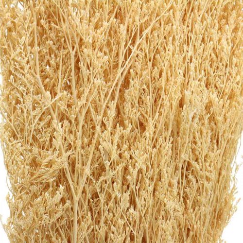 Floristik24 Džiovintos jūros levandų kremas Statice Dry Deco 100g