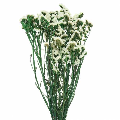 Floristik24 Džiovintų gėlių kekė jūrinė levanda balta 40-55cm 120g