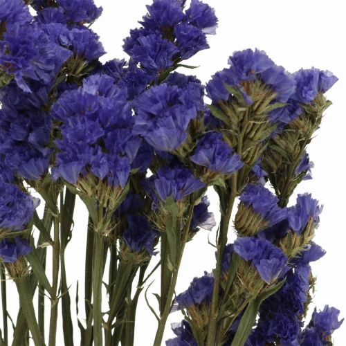 daiktų Jūros levandų ryšelis, džiovintos gėlės, jūros levandos, Statice Tatarica Blue L46–57cm 23g