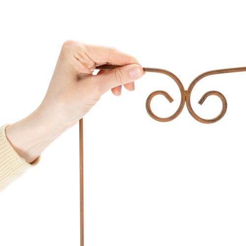 daiktų Grotelės, laipiojimo priemonė, lenktas dekoratyvinis elementas gėlių lysvėms ir augalų vazonams, 75 cm