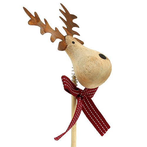 Floristik24 Kištukas briedžio natūralumas, baltas 7cm L30cm 8vnt
