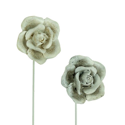 Floristik24 Plug rožių asorti. Ø5,5cm L19cm 4 vnt