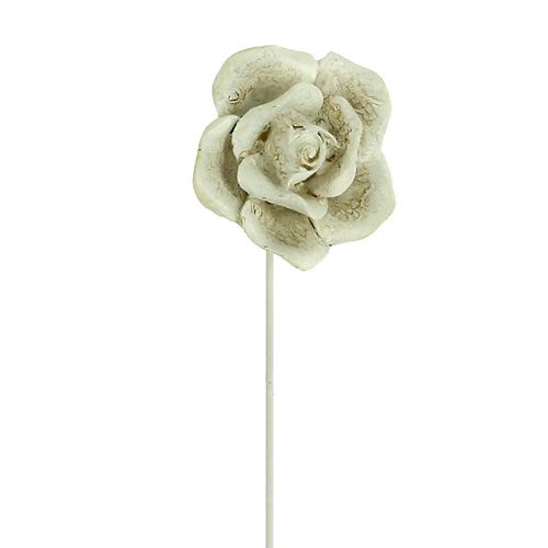 Floristik24 Plug rožių asorti. Ø5,5cm L19cm 4 vnt