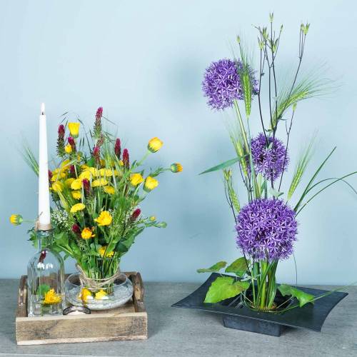 daiktų Ežiukas, Kenzan, Ikebana, sidabrinis metalinis išdėstymo pagrindas, apvalus Ø5cm