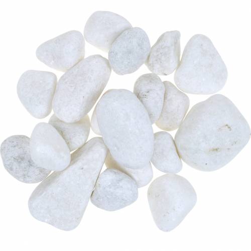 Floristik24 Upės akmenukai Natural White 3-5cm 1kg